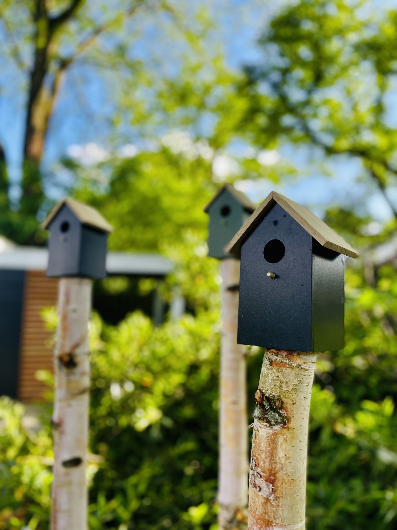 vogelhuisjes